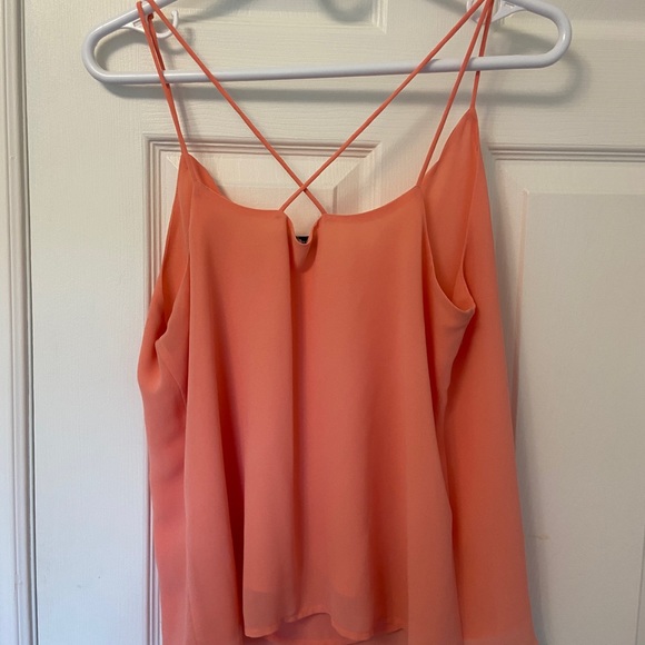 naked zebra Scallop Neckline Top Large - Picture 3 of 3